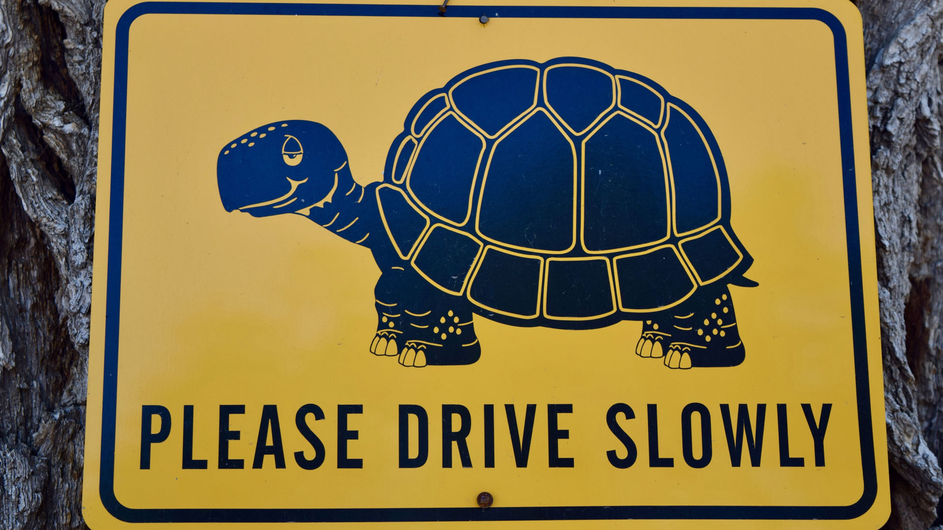 Going slow
